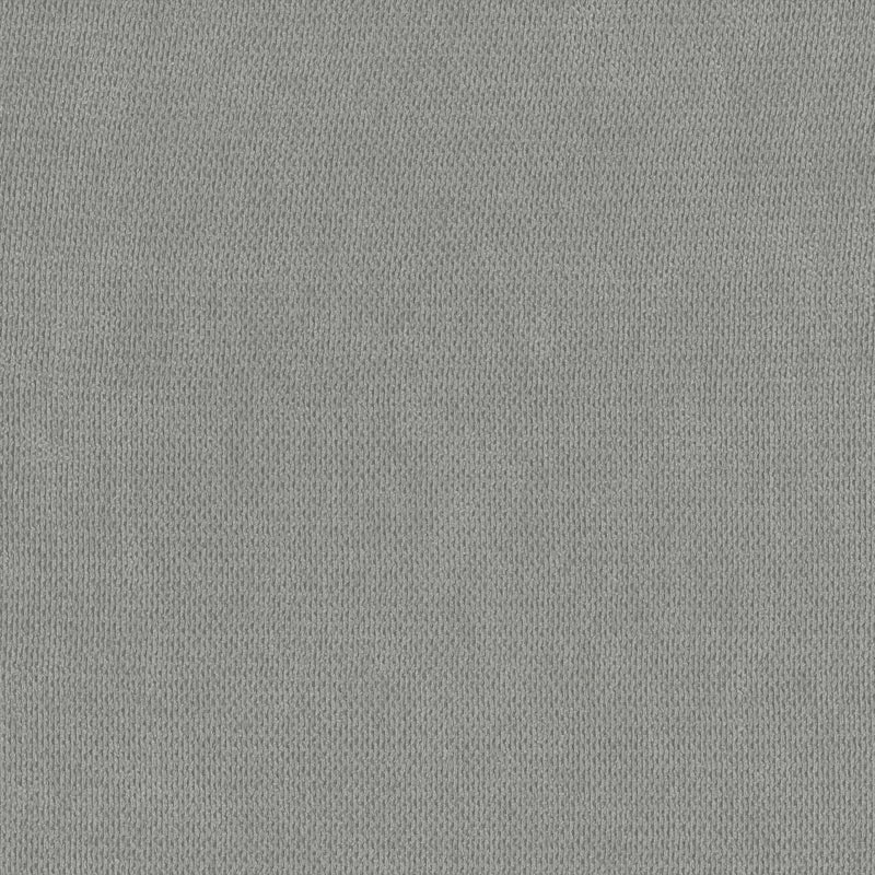 2 Seater Sofa: 58" Upholstered Pillow Top Arm Loveseat(Light Gray Polyester)